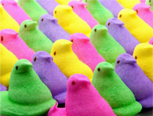 brood